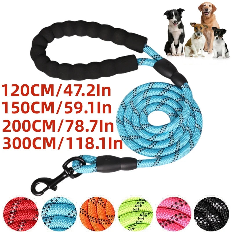 A durable nylon dog leash in various lengths and colors, including black, blue, orange, green, and pink.