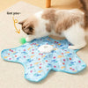 Interactive Hide-and-Seek Cat Toy with Feather Teaser