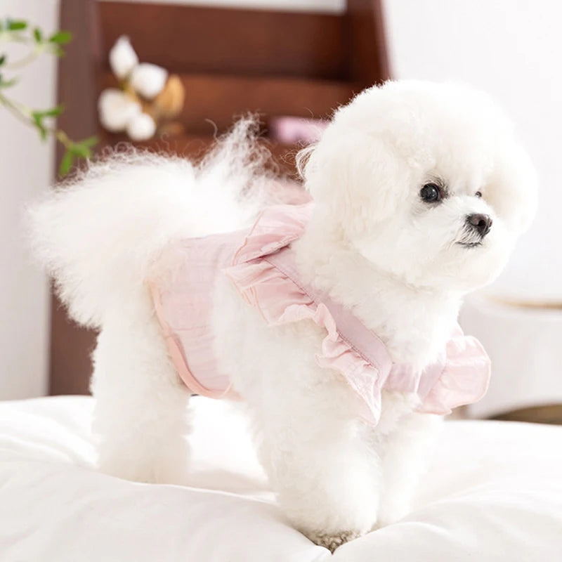 A fluffy white dog wearing pink ruffled shorts lying on a white surface.