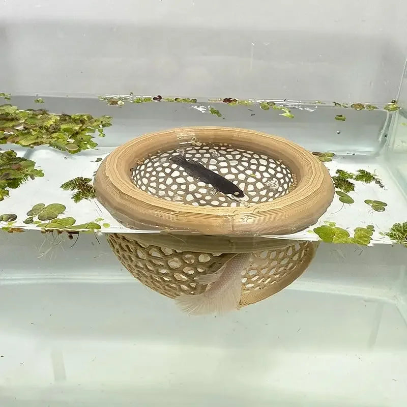 3-in-1 Floating Cave, Hammock, and Feeding Ring for Betta Fish and Shrimp