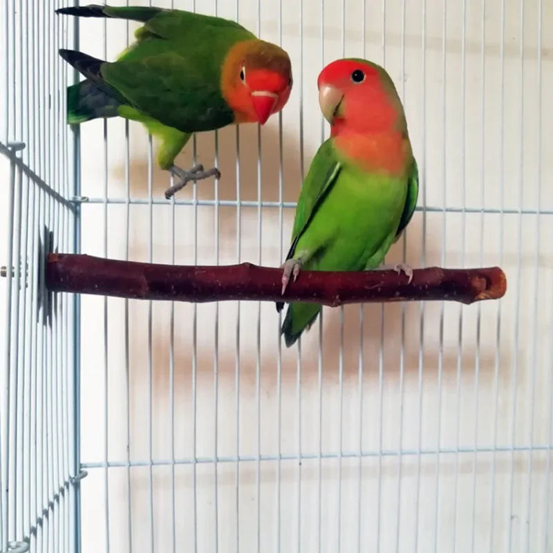 Dos pinzones posados en una rama de madera natural dentro de una jaula de alambre.