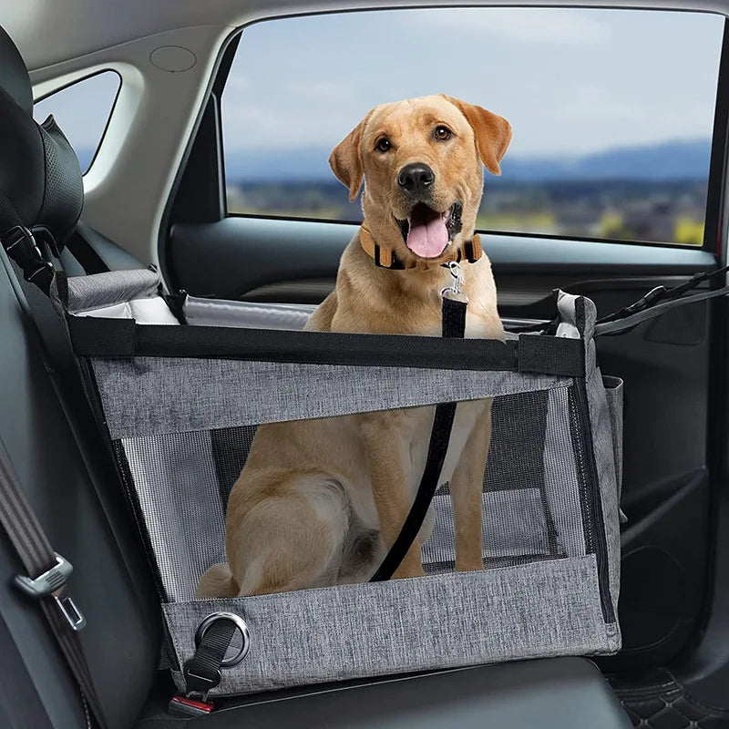 Un golden retriever assis dans une caisse grise portable, placé sur le siège arrière d'une voiture.