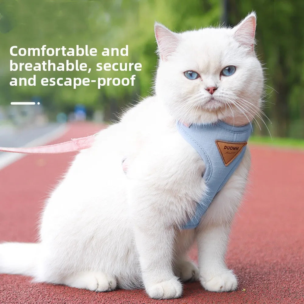 A white cat wearing a light blue escape-proof harness sits on a red track surface.