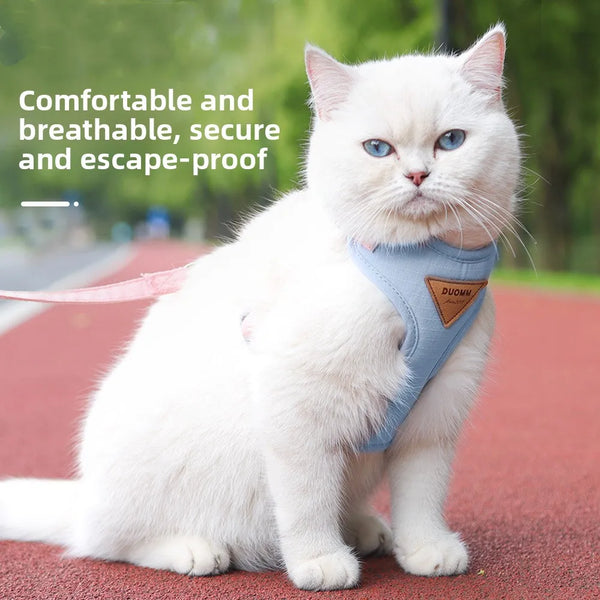 A white cat wearing a light blue escape-proof harness sits on a red track surface.
