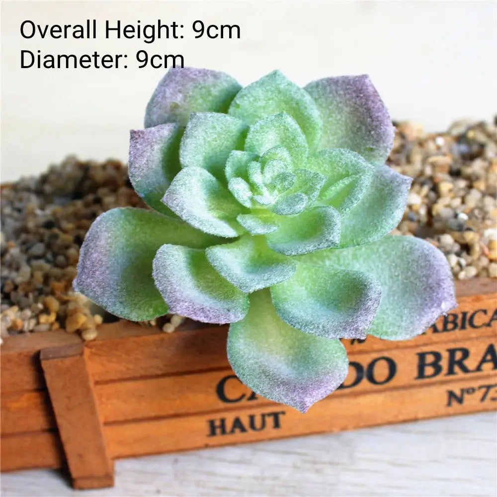 A round, pale green succulent plant with purple tips is displayed on a wooden surface.