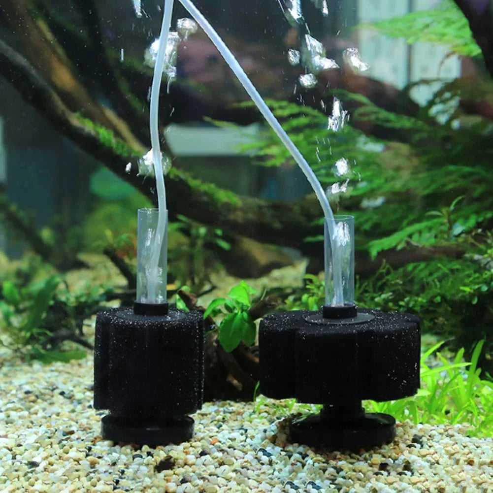 Biochemical Sponge Filter for Aquarium with Air Pump