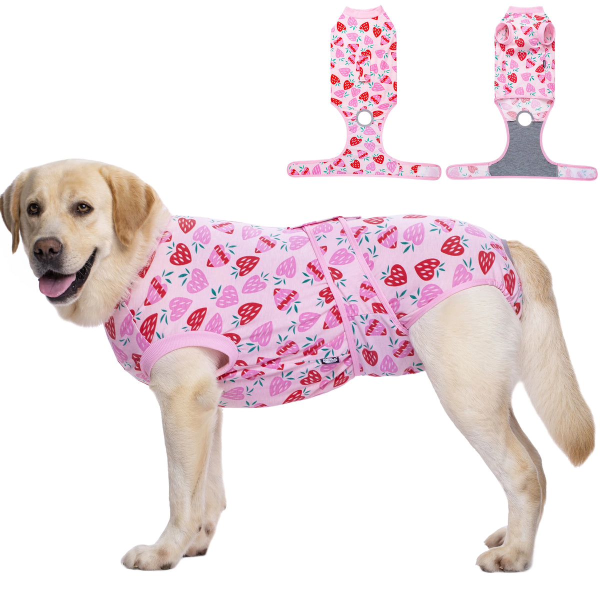 A light-colored dog wearing a pink and red strawberry patterned recovery suit with attached grips.
