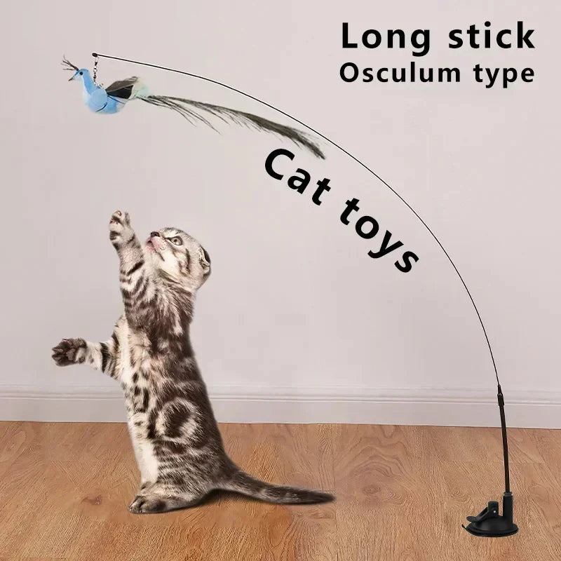 Jouet Interactif pour Chat en Forme de Paon avec Clochette