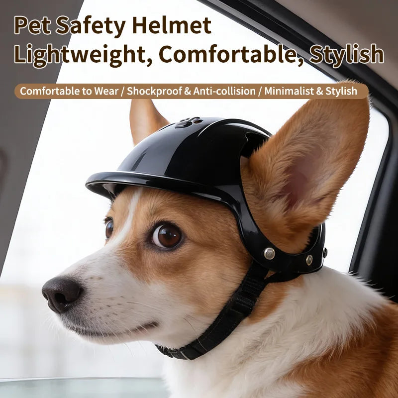Ein leichtes schwarzes Hundesicherheitshut wird von einem Hund zur Kamera hin gezeigt.