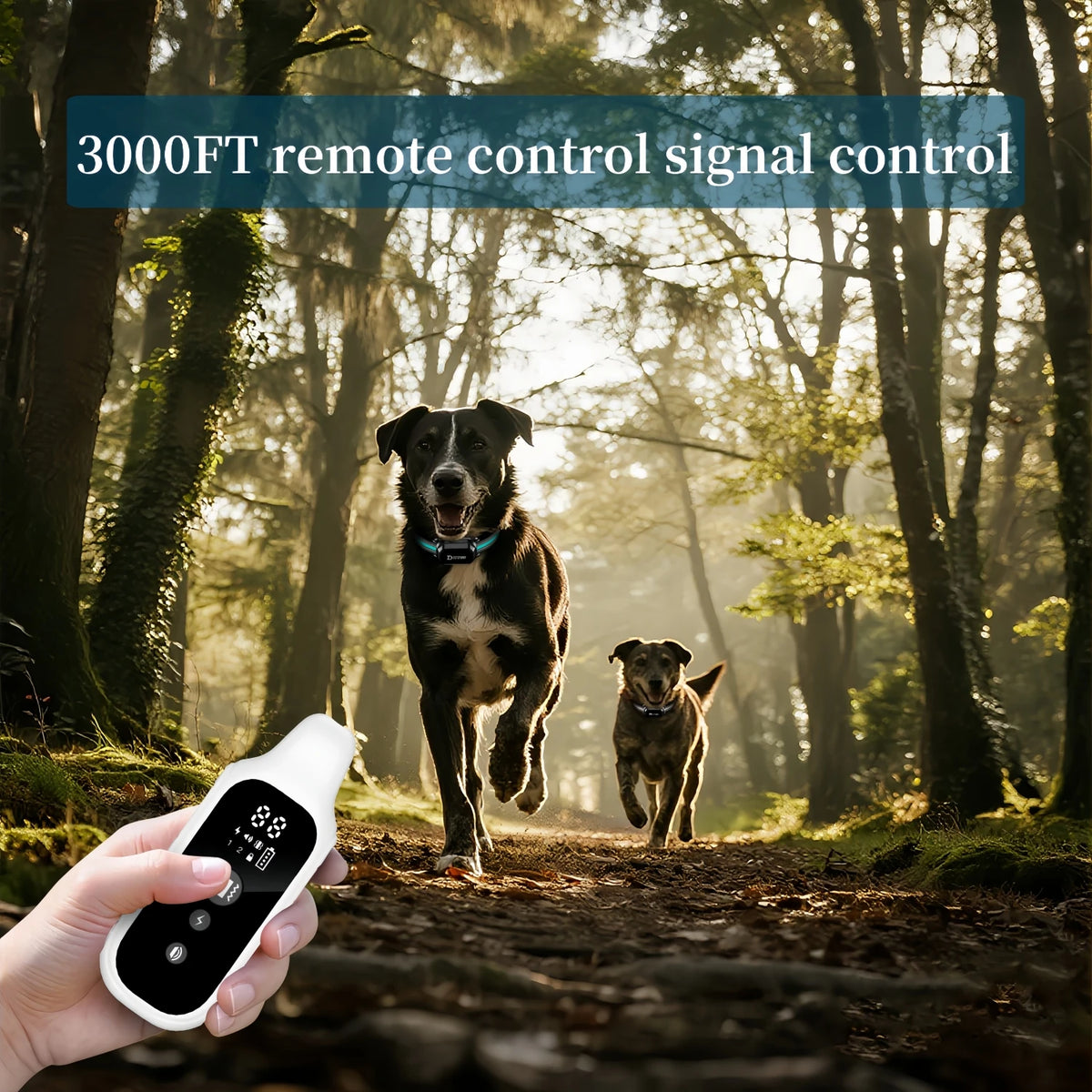 Remote Dog Training Collar with Vibration and Static Stimulation