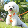 Strawberry Print Dog Harness and Leash Set
