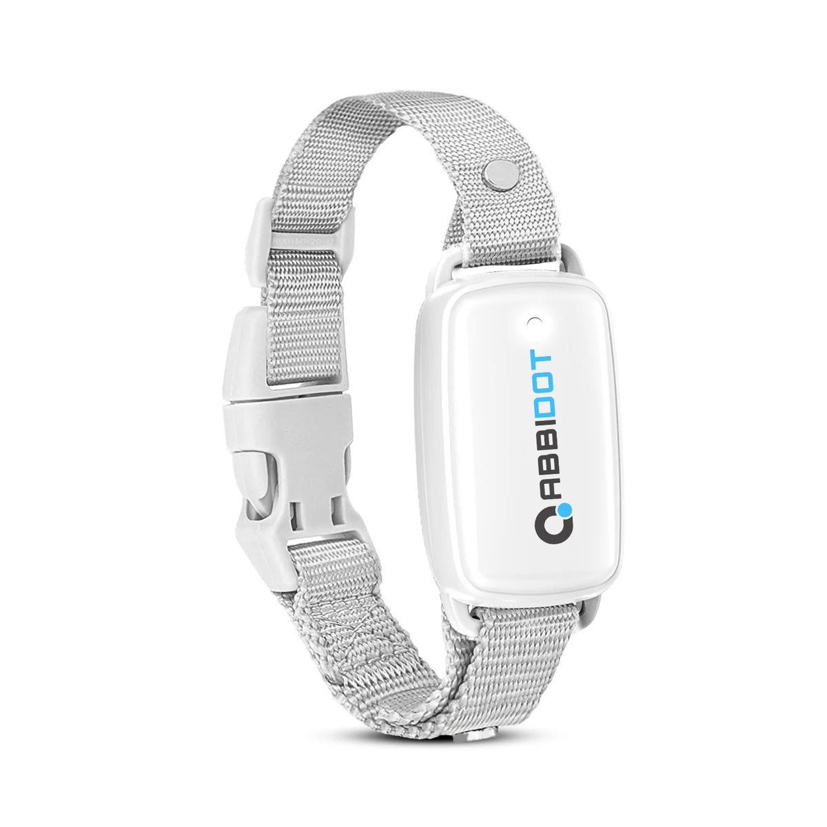 A white and silver dog training collar replacement strap with a plastic buckle and adjustable webbing.
