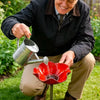Decorative Flower Bird Feeder and Waterer for Garden