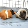 Un sous-lit bleu clair pour cage de guignon, montrant deux animaux de compagnie duveteux.