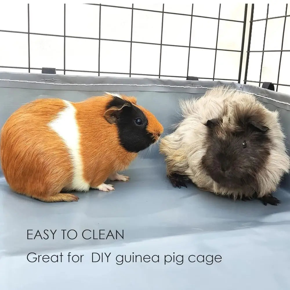 Un sous-lit bleu clair pour cage de guignon, montrant deux animaux de compagnie duveteux.