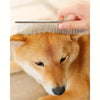 Stainless Steel Pet Grooming Scissors Set with Safety Round Tips