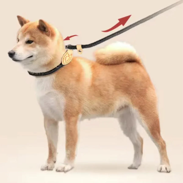 Heavy Duty Nylon Dog Leash Slip Rope with Adjustable Loop