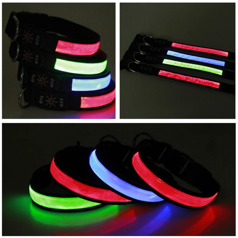 A set of USB rechargeable LED glow dog collars in various colors, including pink, green, and blue.