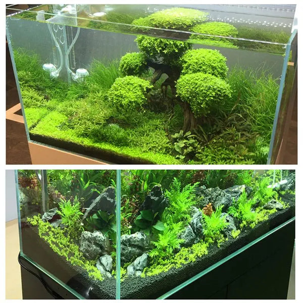 A clear glass aquarium filled with black substrate gravel and various aquatic plants.