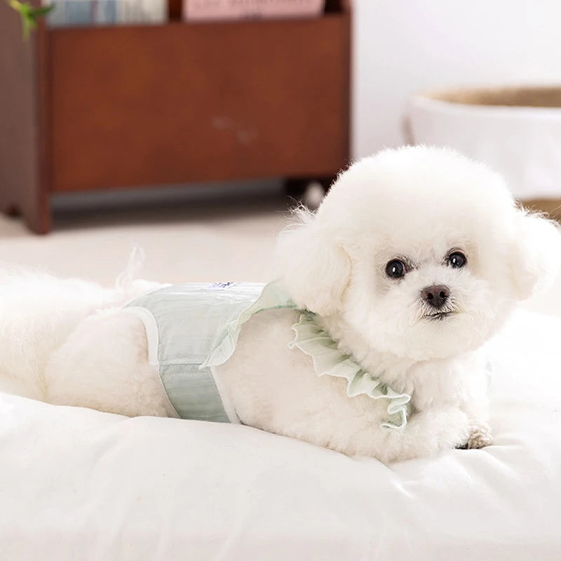 A fluffy white dog wearing light green pink dog shorts lying on a white surface.