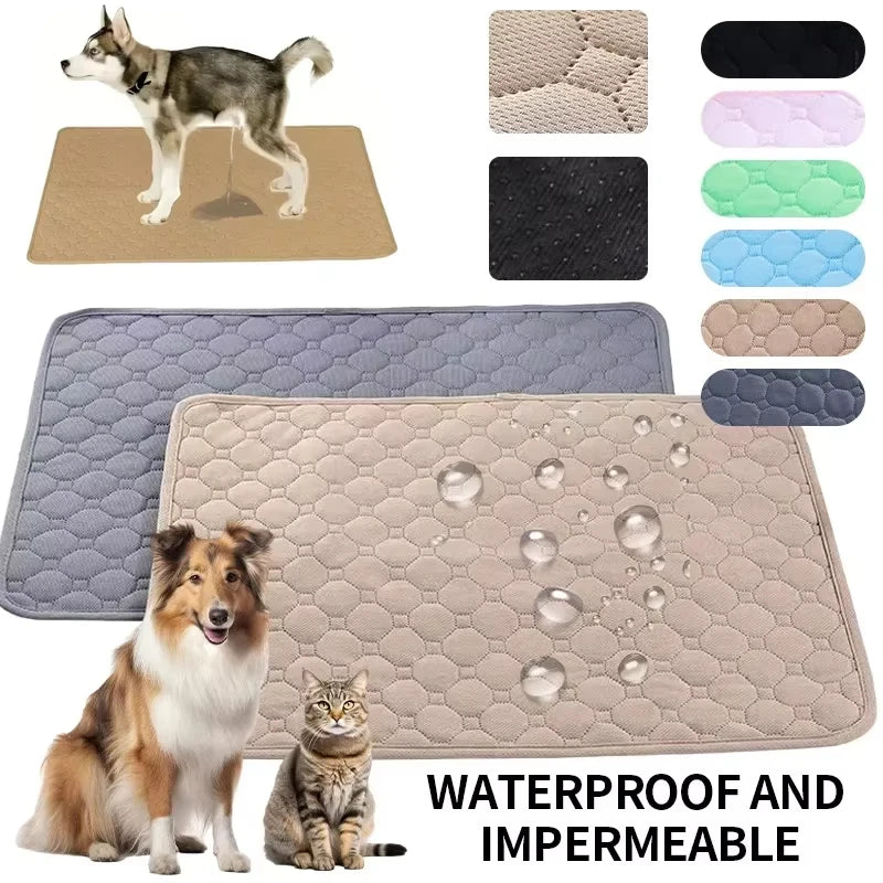 Ensemble de tapis et coussinets pour l'entraînement des chiens, incluant un grand tapis gris, divers coussinets colorés et un