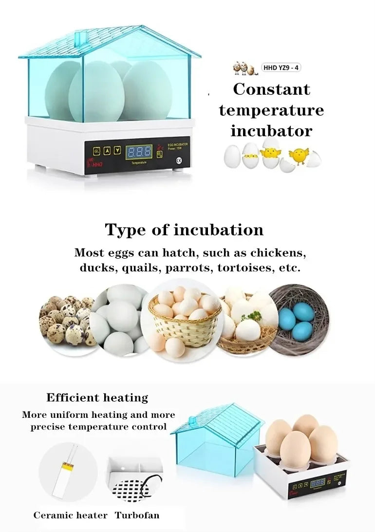 Incubateur digital blanc à dôme transparent, montrant des œufs et un élément chauffant en céramique.
