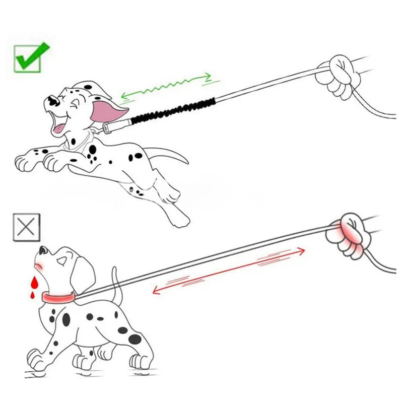 45cm Nylon Dog Leash Extender with Quick-Release Buckle