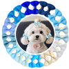 A circular arrangement of 30 colorful handmade dog bow knots in various shades of blue and light blue.