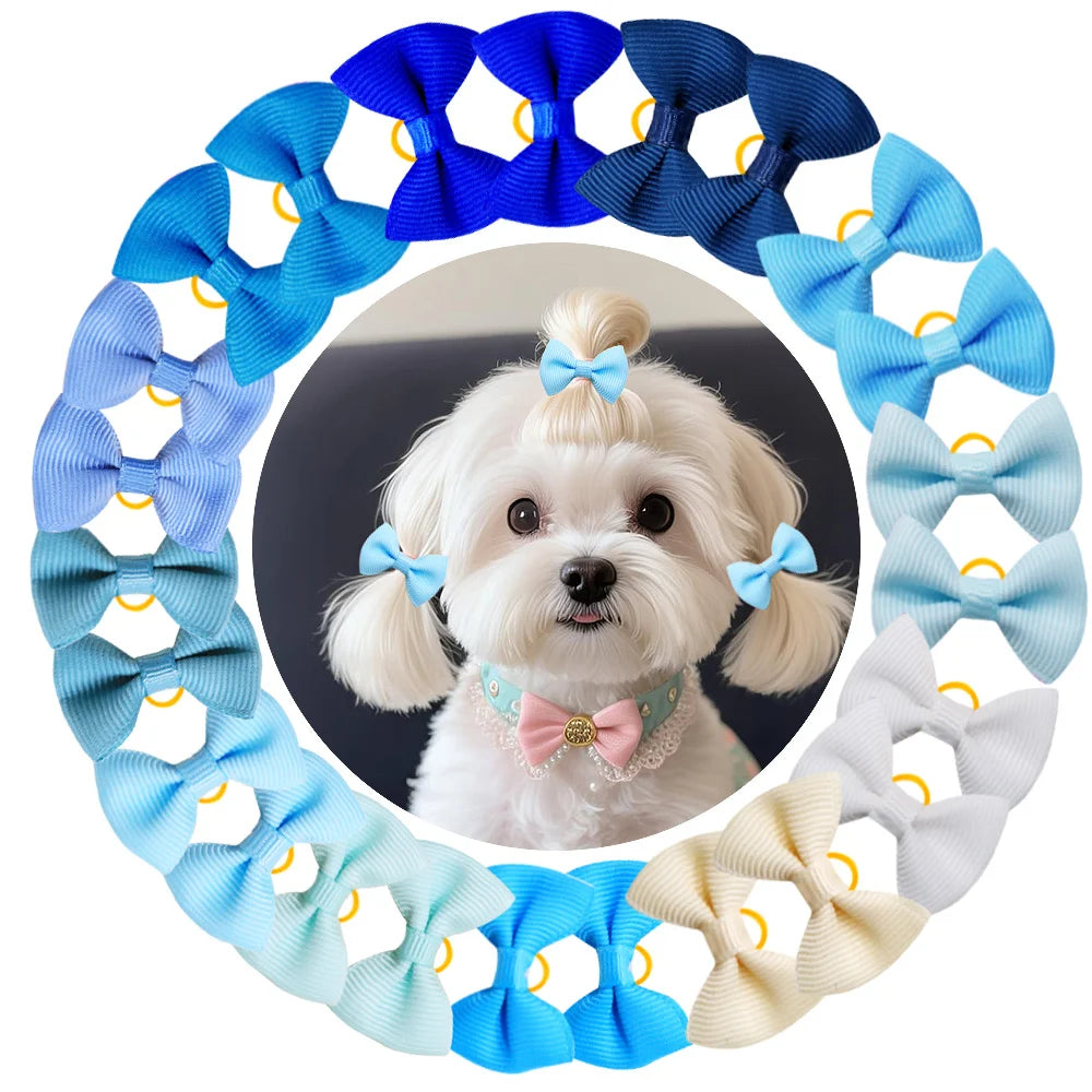A circular arrangement of 30 colorful handmade dog bow knots in various shades of blue and light blue.