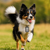 Quiet Pet ID Tag Silicone Protector Cover