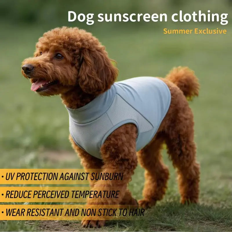 A golden retriever wearing a light blue dog sunscreen clothing vest outdoors.