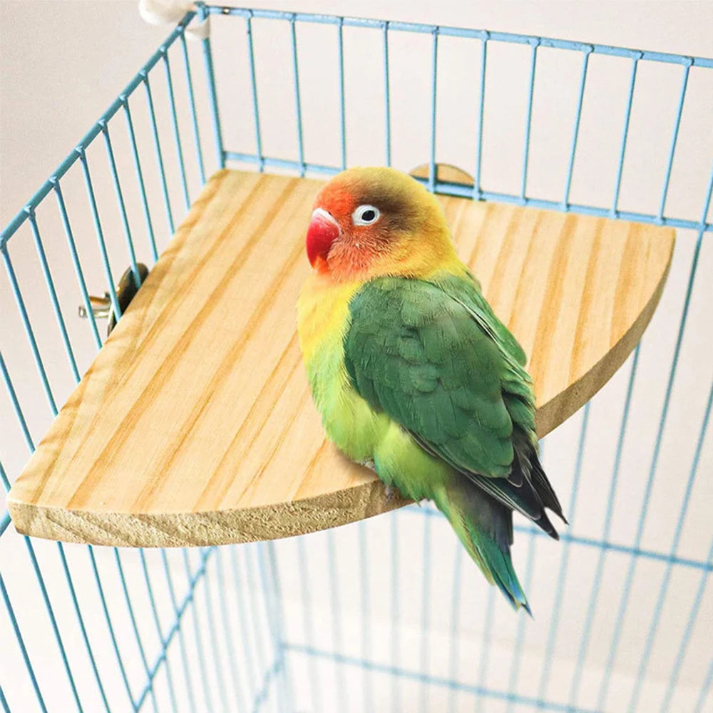 A yellow and green parrot perches on a wooden fan-shaped perch inside a wire cage.