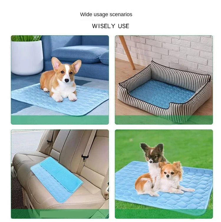 A pet mat is shown in various usage scenarios, including on a sofa, in a brick setting, and outdoors on grass.