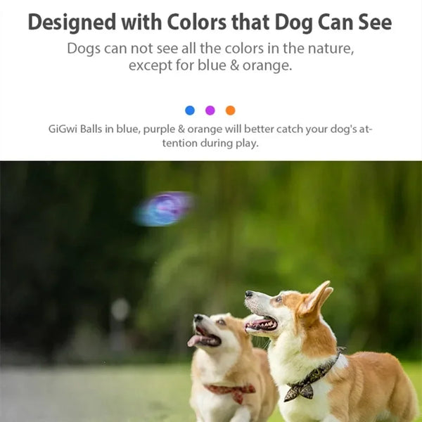 Interactive Squeaky Dog Ball for Fetch & Play