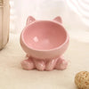 Ceramic Cat Bowl with High Feet for Pet Feeding