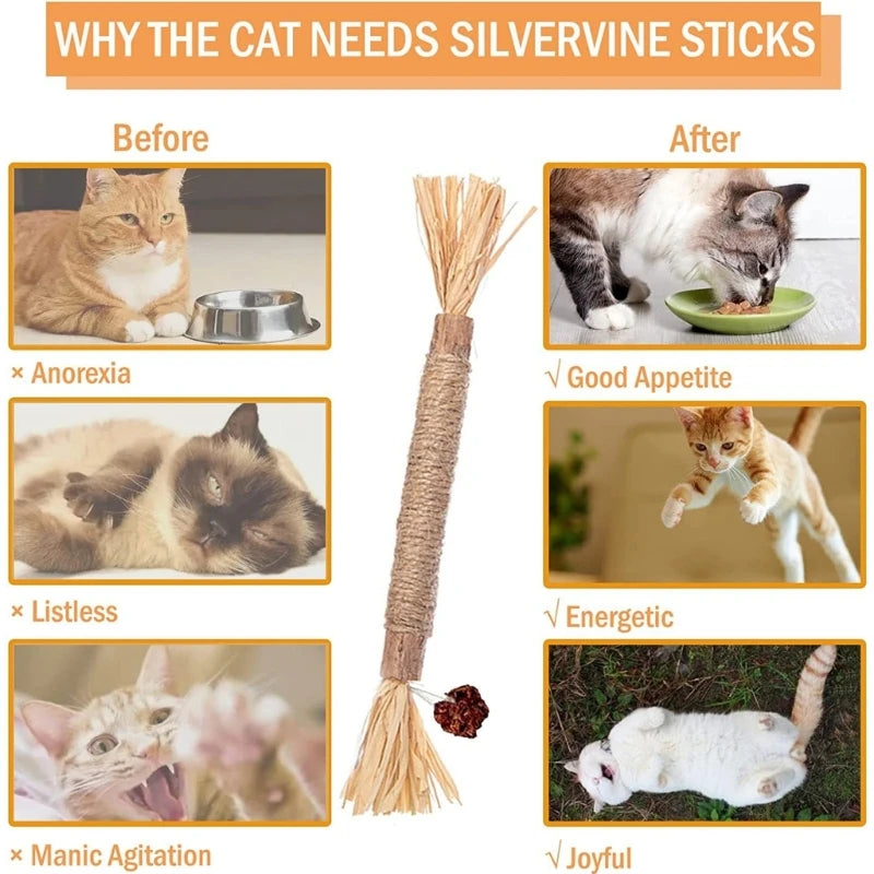 Vorher-Nachher-Bilder, die die Verhaltensänderung einer Katze nach der Verwendung von natürlichem Silberwinde zeigen