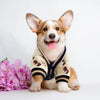 Adorable Bear Pattern Knitted Cardigan for Small Dogs and Cats