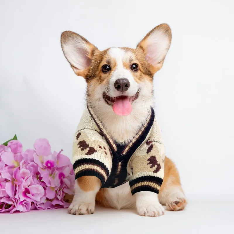 Adorable Bear Pattern Knitted Cardigan for Small Dogs and Cats