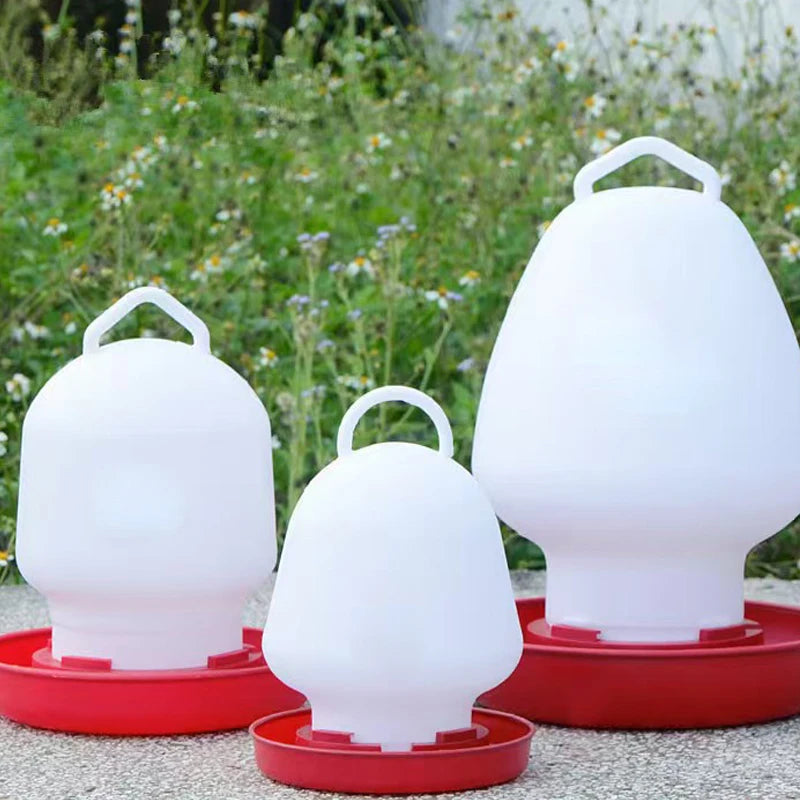 Automatic Chicken Feeder and Waterer Fountain