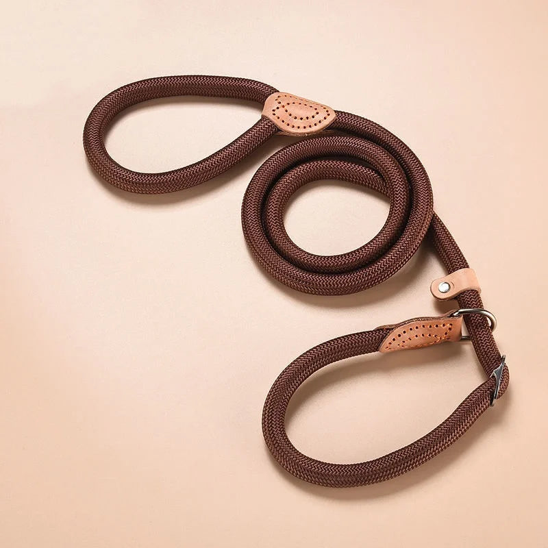 Robbe, verstellbare Nylon-Hundeleine