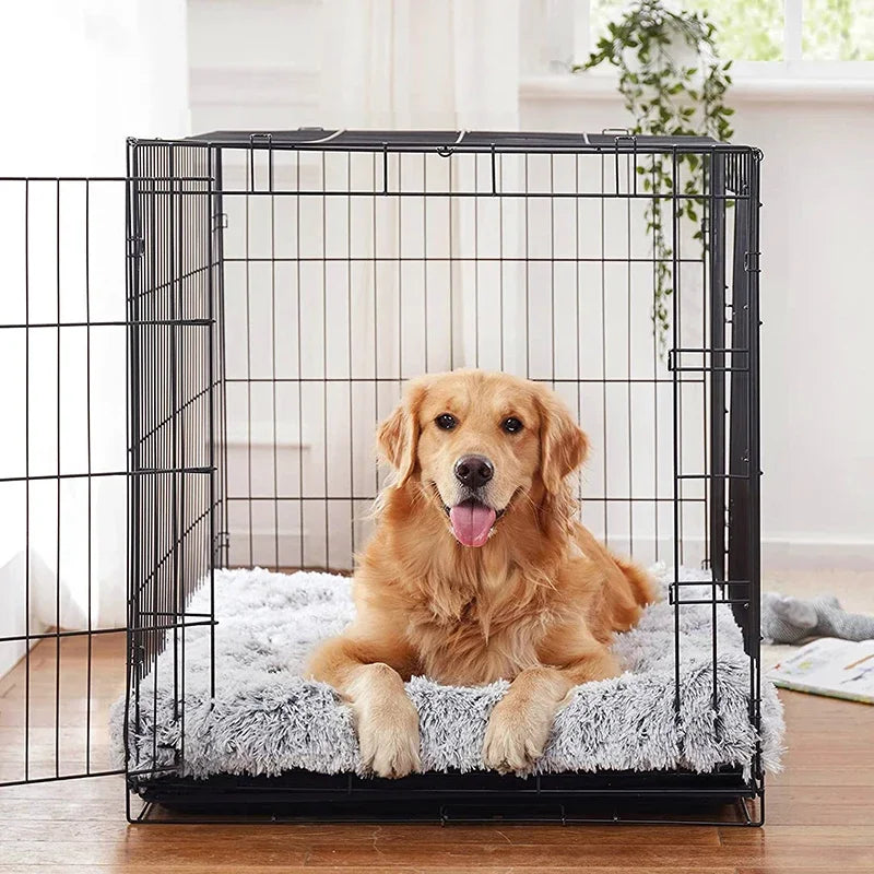 A golden retriever sits inside a black wire pet crate on a fluffy white bed.