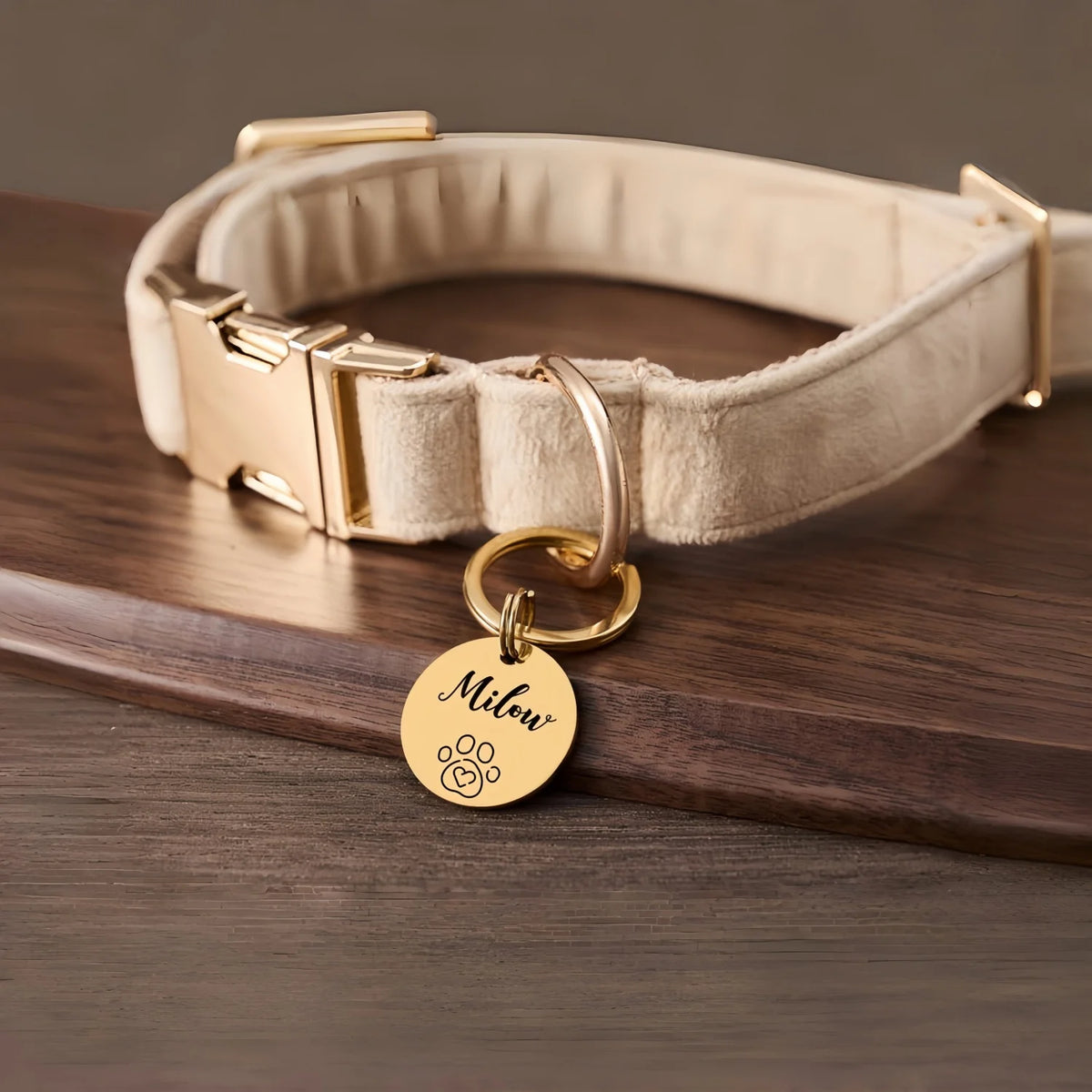 A light beige leather collar and stainless steel ID tag with a gold clasp resting on a dark wooden surface.