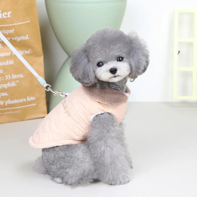 Un petit caniche gris portant une veste de chien à doublure de polaire imperméable rose pâle.