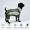 Pet Cooling Full-Body Suit for Summer Heat Relief