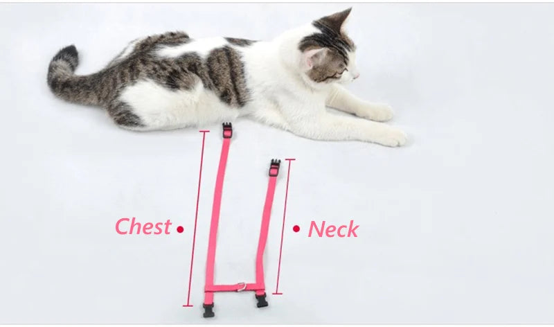 Adjustable Nylon Harness and Leash Set for Small Pets