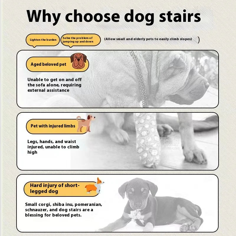 Foam Pet Stairs with Non-Slip Ladder for Dogs and Cats