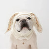Cozy Knitted Rabbit Ears Pet Hat