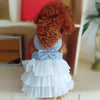 Vestido de Verano para Perro con Falda de Encaje