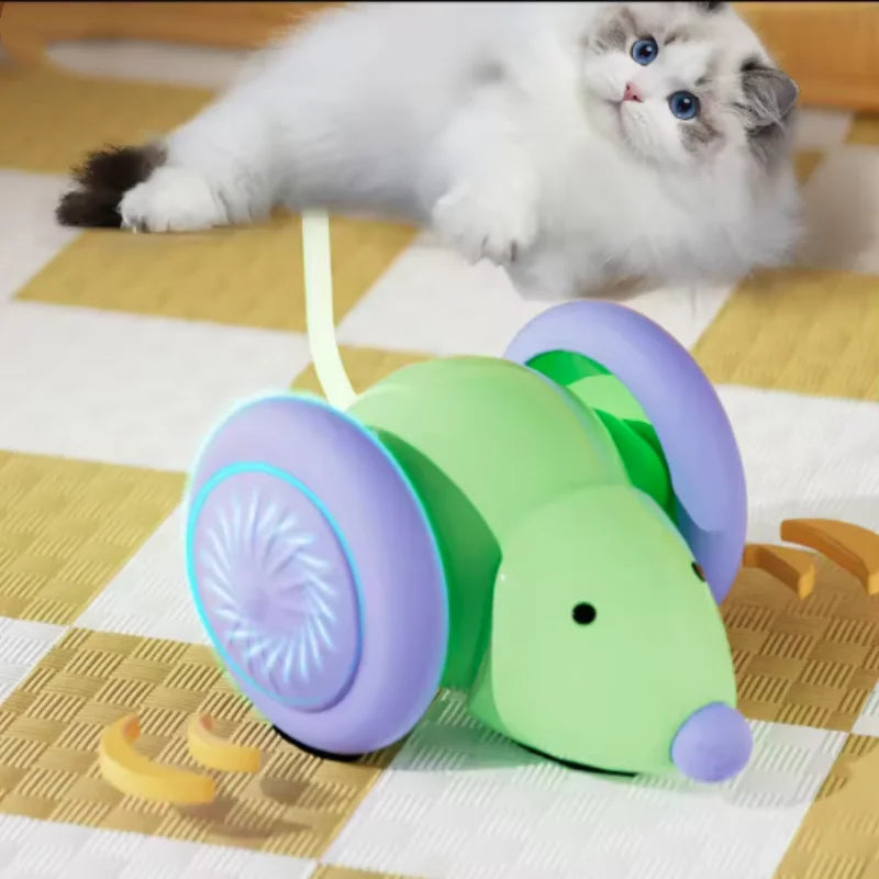 A fluffy white kitten is looking at a green and purple rotating toy designed for cats.