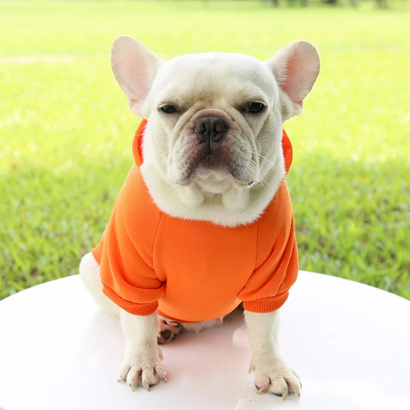 Suéter con Capucha Acogedor para Perros Pequeños